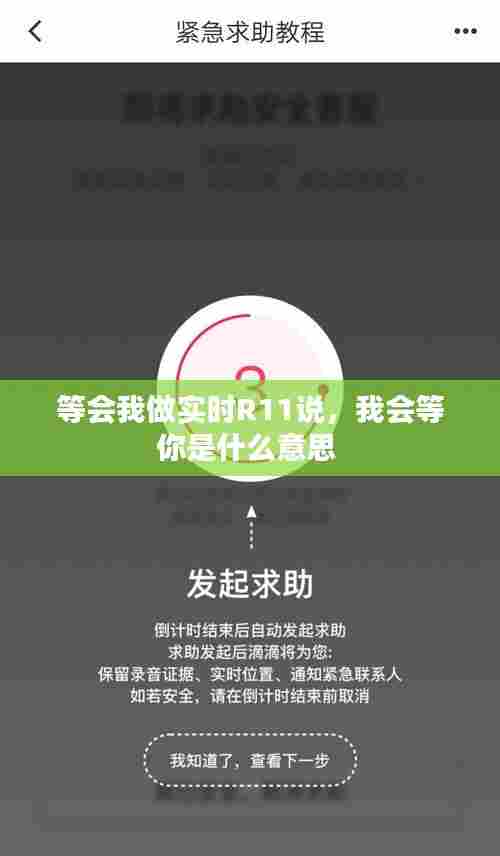 等会我做实时R11说,我会等你是什么意思