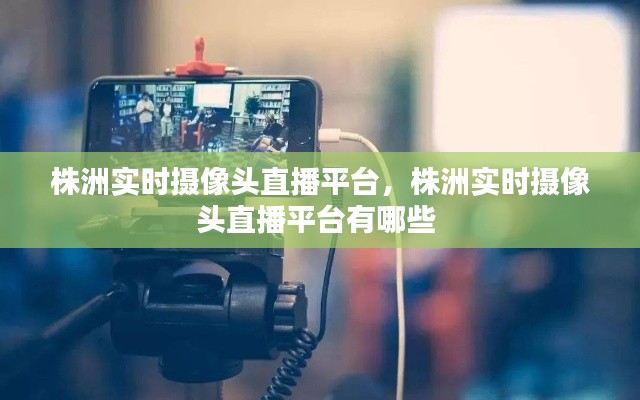 株洲实时摄像头直播平台，株洲实时摄像头直播平台有哪些 