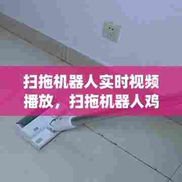 扫拖机器人实时视频播放，扫拖机器人鸡肋吗 