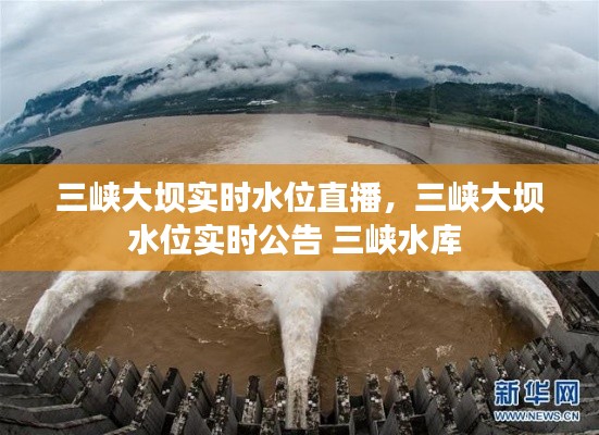 三峡大坝实时水位直播，三峡大坝水位实时公告 三峡水库 