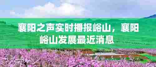 襄阳之声实时播报峪山，襄阳峪山发展最近消息 