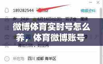 车主社区 第384页