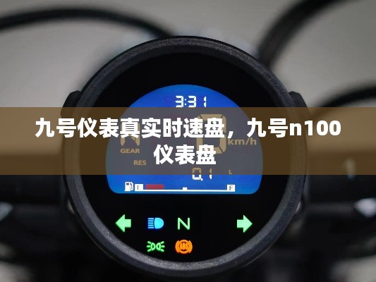 九号仪表真实时速盘，九号n100仪表盘 