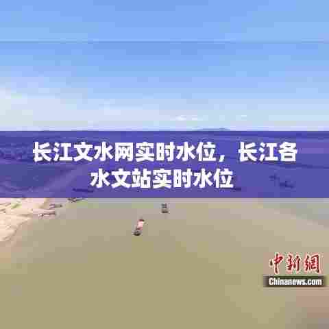 长江文水网实时水位，长江各水文站实时水位 