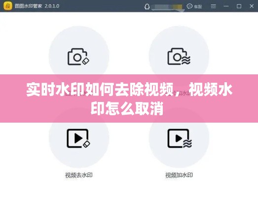 实时水印如何去除视频,视频水印怎么取消