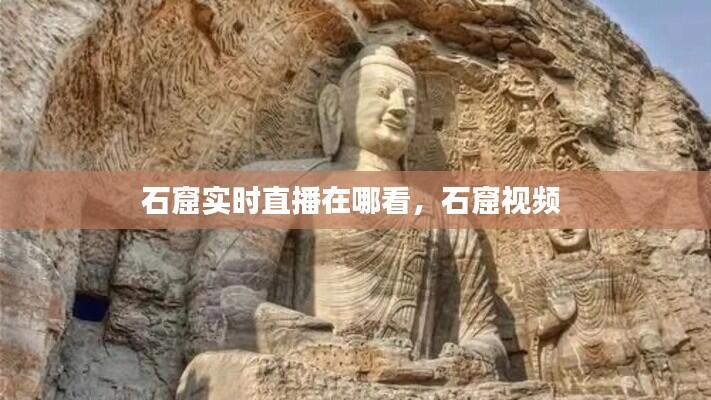 汽车百科 第349页