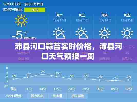 高不成低不就 第8页