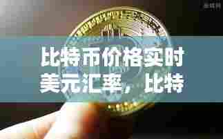 风流儒雅 第7页