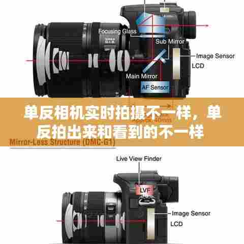 单反相机实时拍摄不一样，单反拍出来和看到的不一样 