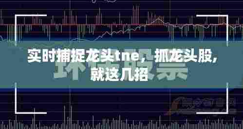 实时捕捉龙头tne，抓龙头股,就这几招 