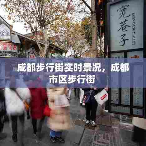 成都步行街实时景况，成都市区步行街 