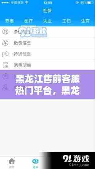 黑龙江售前客服热门平台，黑龙江售前客服热门平台是什么 