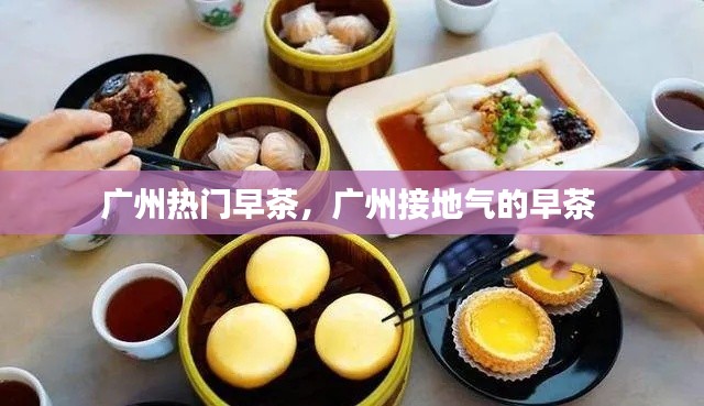 广州热门早茶，广州接地气的早茶 