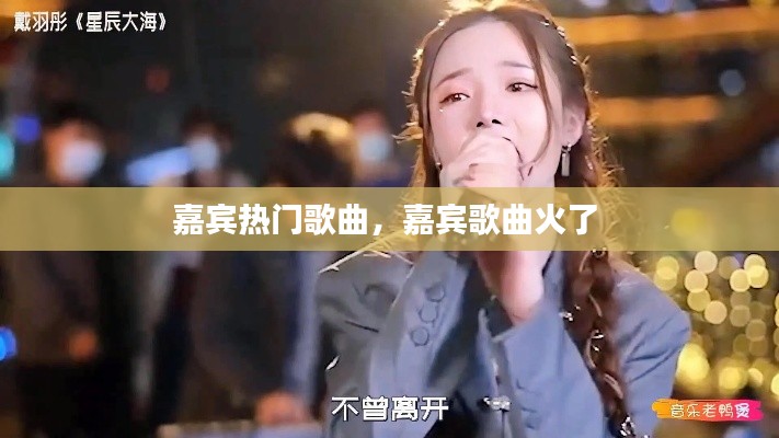 嘉宾热门歌曲，嘉宾歌曲火了 