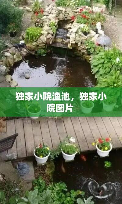独家小院渔池，独家小院图片 