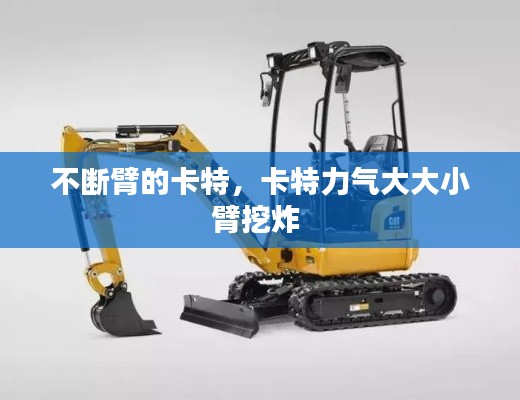 不断臂的卡特，卡特力气大大小臂挖炸 