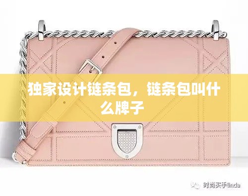 独家设计链条包，链条包叫什么牌子 