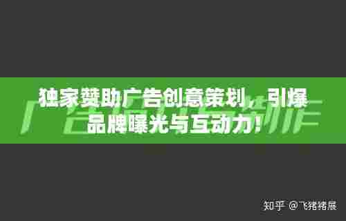 独家赞助广告创意策划，引爆品牌曝光与互动力！