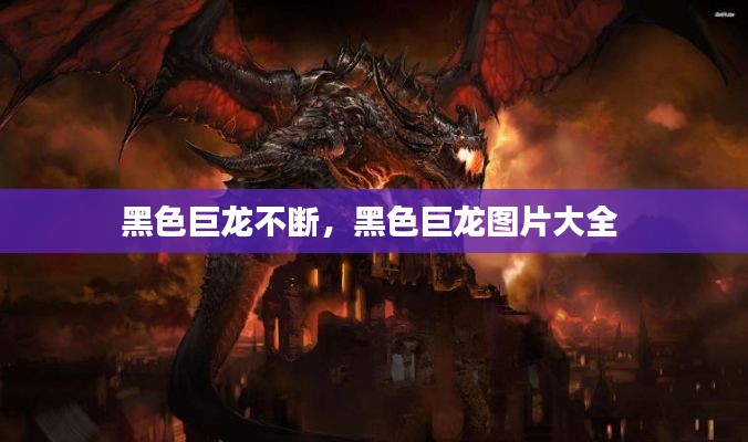 黑色巨龙不断，黑色巨龙图片大全 