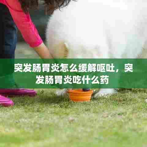 突发肠胃炎怎么缓解呕吐，突发肠胃炎吃什么药 