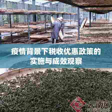 疫情背景下税收优惠政策的实施与成效观察
