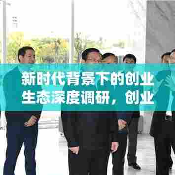 新时代背景下的创业生态深度调研，创业专题探索