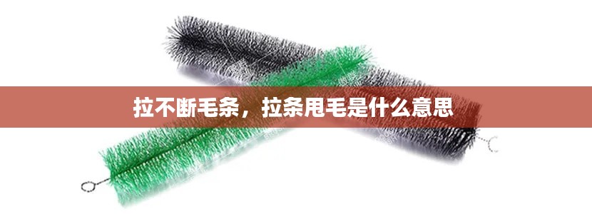 拉不断毛条，拉条甩毛是什么意思 