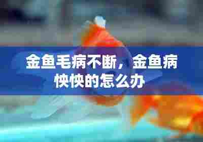 金鱼毛病不断，金鱼病怏怏的怎么办 