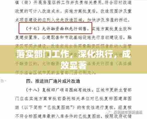 落实部门工作，深化执行，成效显著