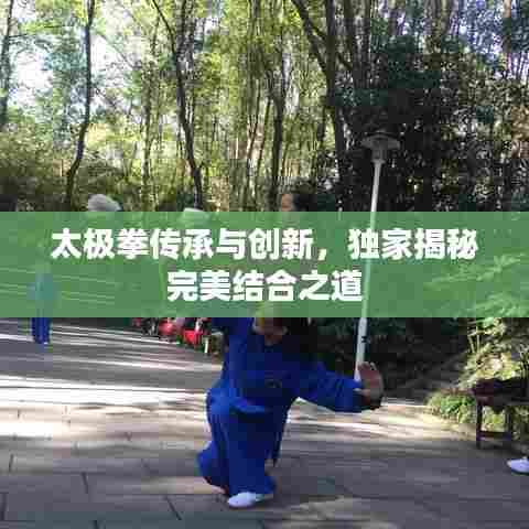 太极拳传承与创新，独家揭秘完美结合之道