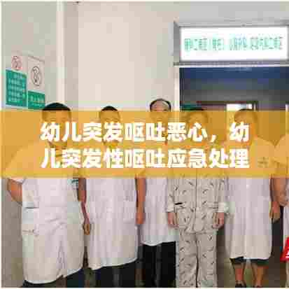 幼儿突发呕吐恶心，幼儿突发性呕吐应急处理流程 