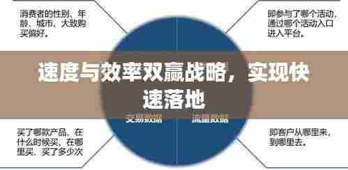 速度与效率双赢战略，实现快速落地