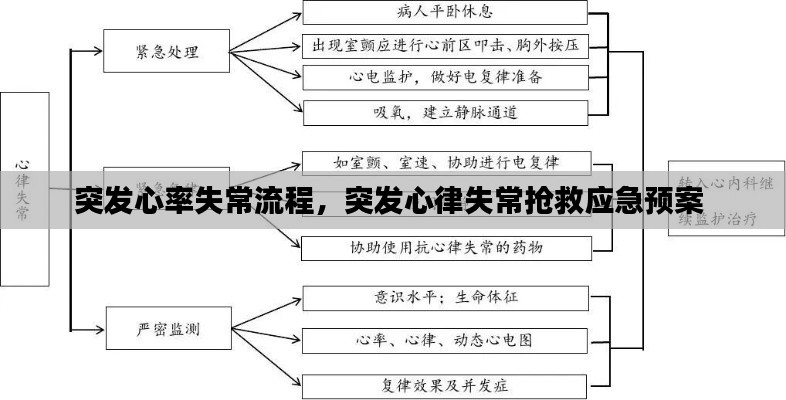 突发心率失常流程，突发心律失常抢救应急预案 
