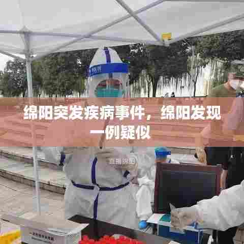 张皇铺饰 第7页