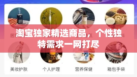 淘宝独家精选商品，个性独特需求一网打尽