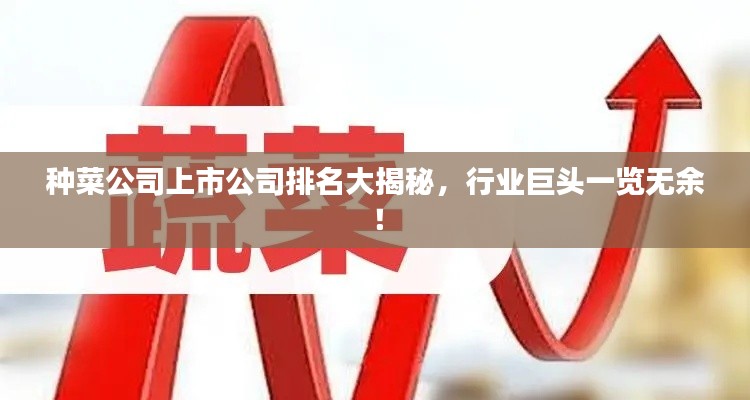 种菜公司上市公司排名大揭秘，行业巨头一览无余！