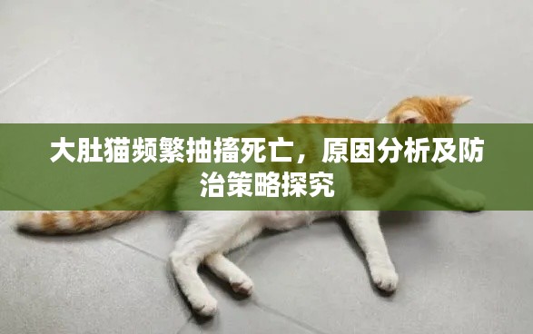 大肚猫频繁抽搐死亡，原因分析及防治策略探究