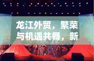 龙江外贸，繁荣与机遇共舞，新闻头条抢先看