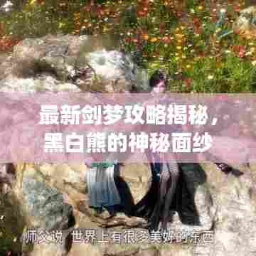 最新剑梦攻略揭秘，黑白熊的神秘面纱