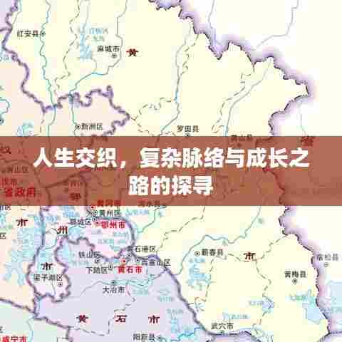 人生交织，复杂脉络与成长之路的探寻