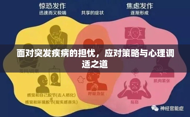 面对突发疾病的担忧，应对策略与心理调适之道