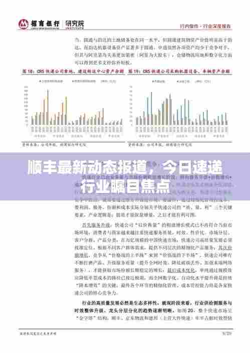 顺丰最新动态报道，今日速递行业瞩目焦点