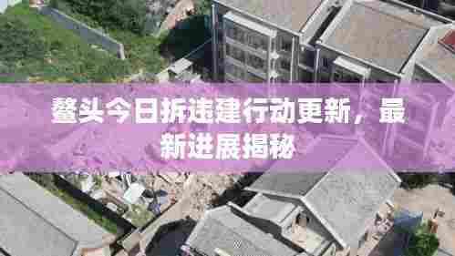 鳌头今日拆违建行动更新，最新进展揭秘