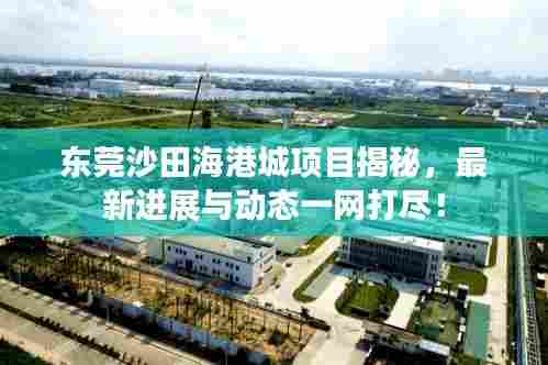 东莞沙田海港城项目揭秘，最新进展与动态一网打尽！