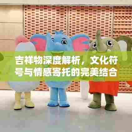 吉祥物深度解析，文化符号与情感寄托的完美结合
