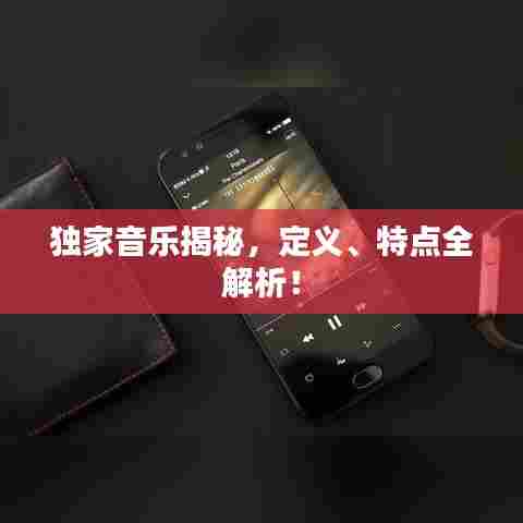 独家音乐揭秘，定义、特点全解析！