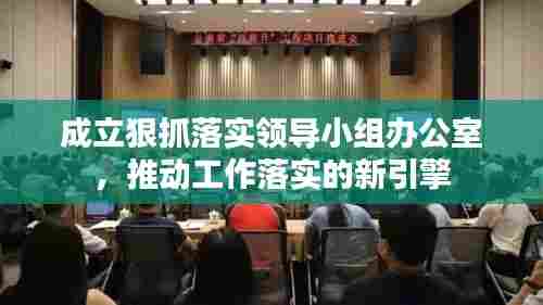 成立狠抓落实领导小组办公室，推动工作落实的新引擎