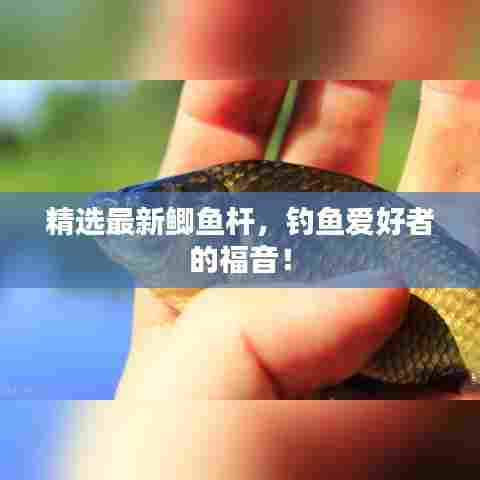 栖冲业简 第6页