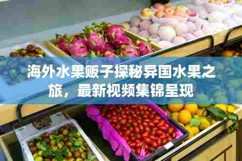 海外水果贩子探秘异国水果之旅，最新视频集锦呈现