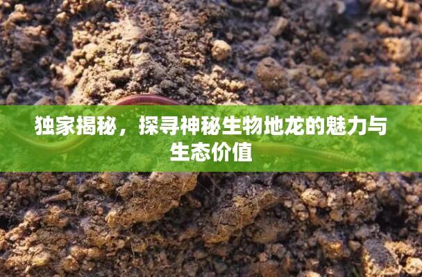 独家揭秘，探寻神秘生物地龙的魅力与生态价值